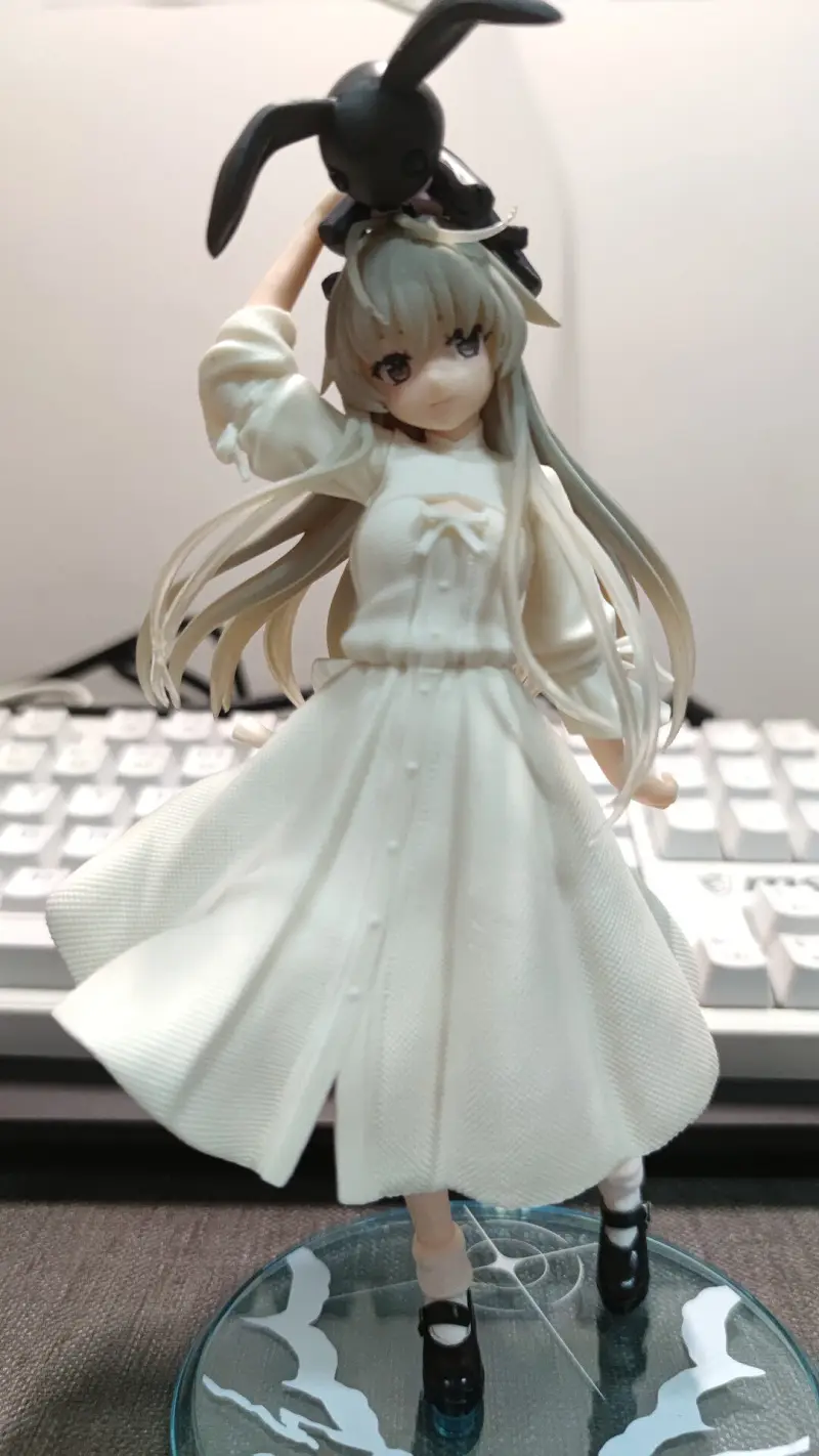 到货啦