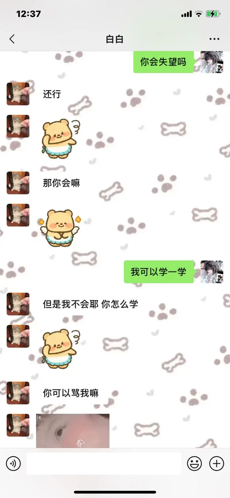 吃瓜