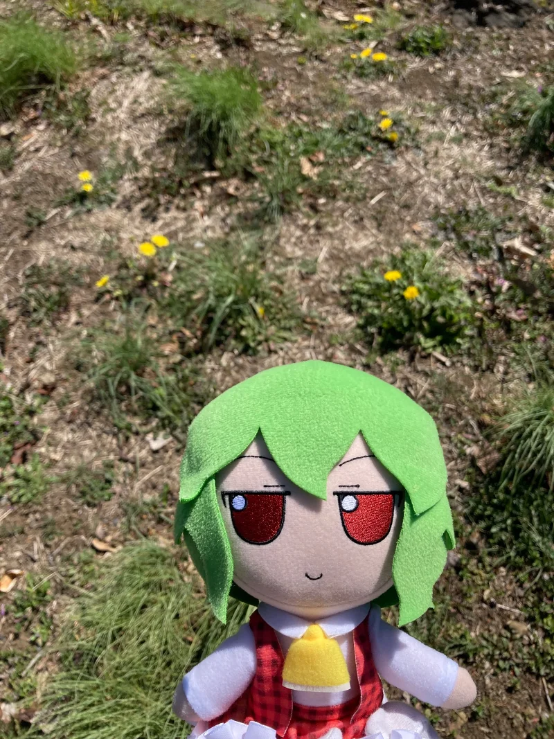 东方project,fumo