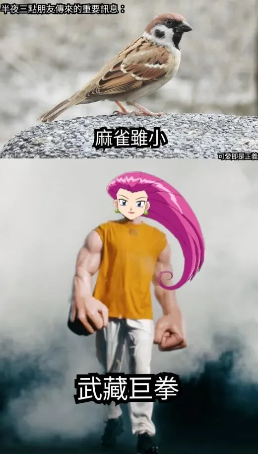 搞笑,逗图,弔图,趣图,社死