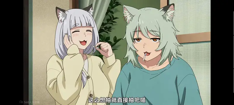 尼古喵喵,雅尼猫,动画,动漫,番剧,日漫,二次元,ACG