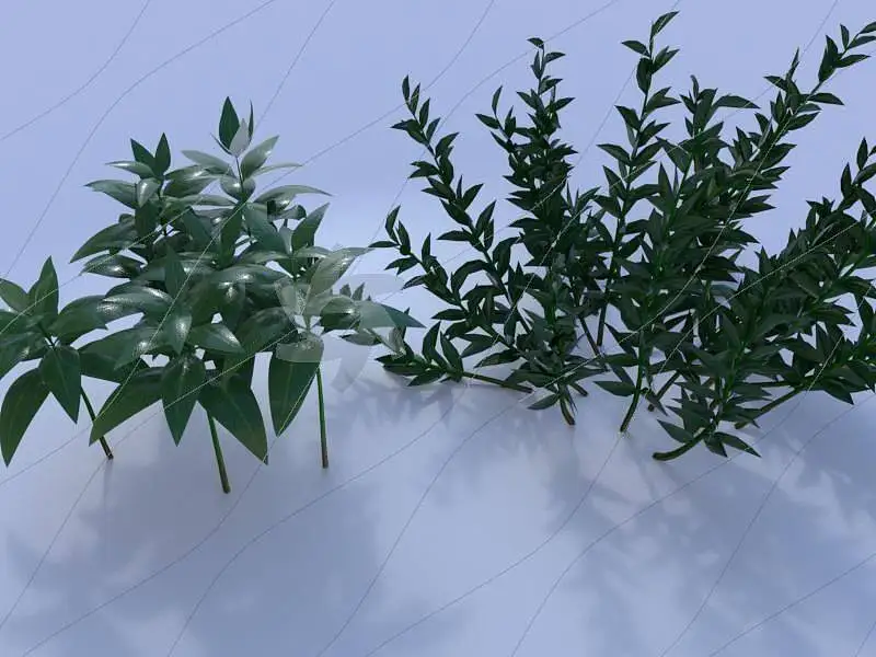 绘画创作,动漫