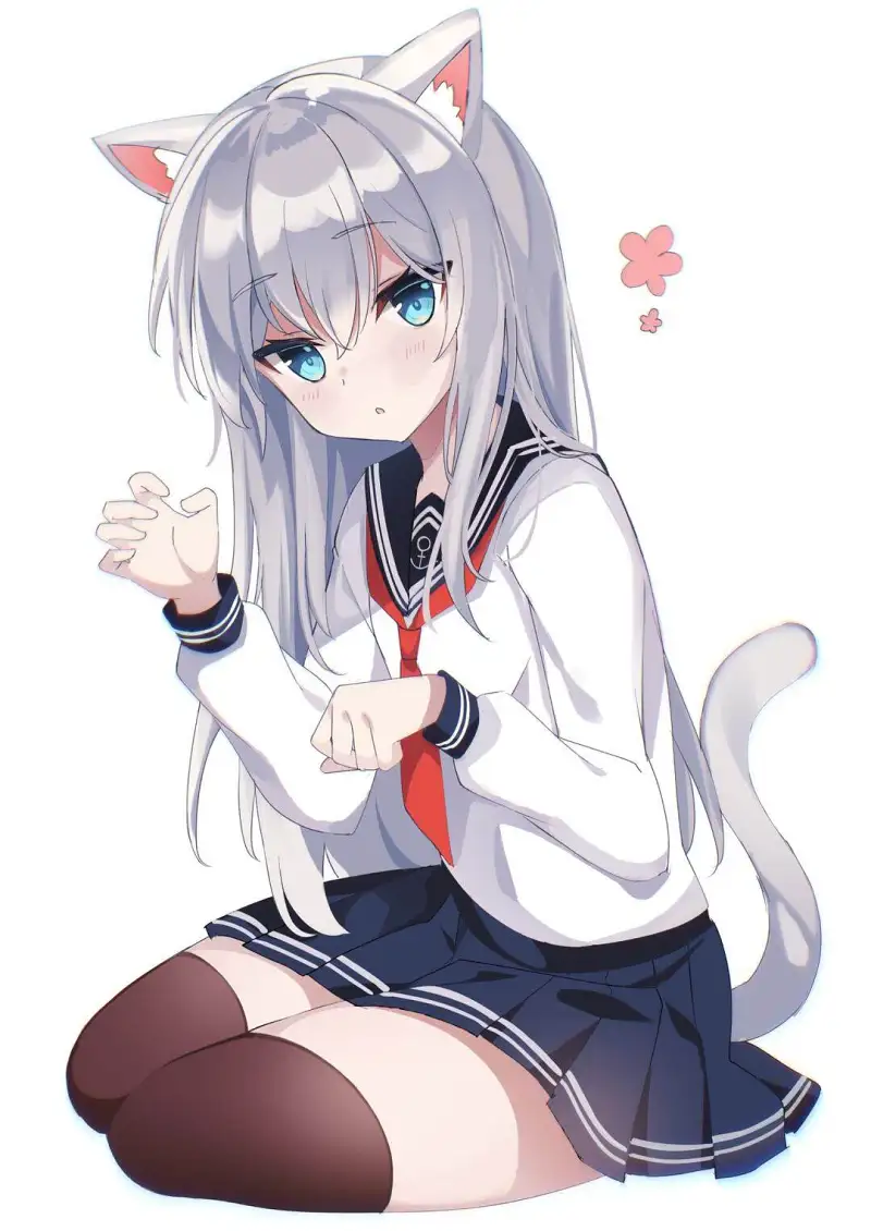 M站美图,美图,猫の日