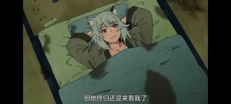 雅尼猫,尼古喵喵,动画,动漫,番剧,二次元,日漫,ACG
