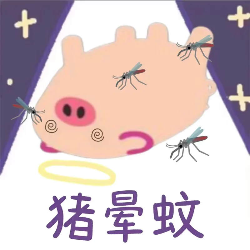 猪猪表情包,不准备,谷歌猪