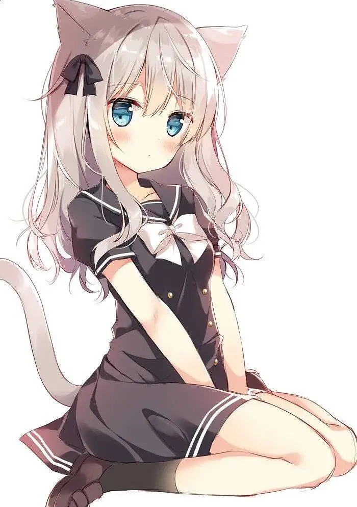 M站美图,兽耳娘