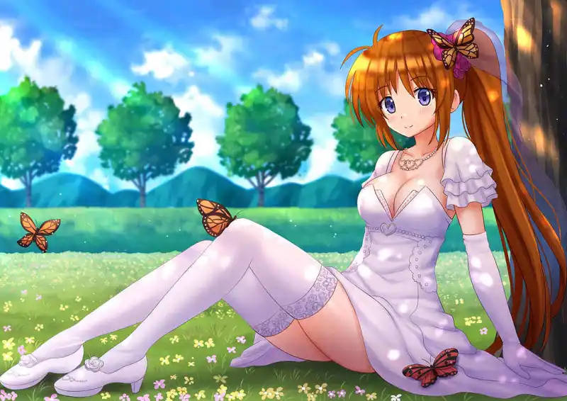 新人报道,魔法少女奈叶