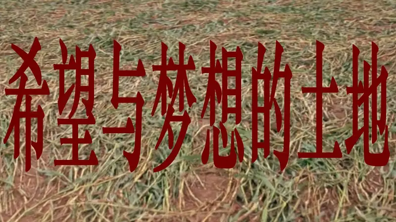 希望与梦想的土地（搬运）