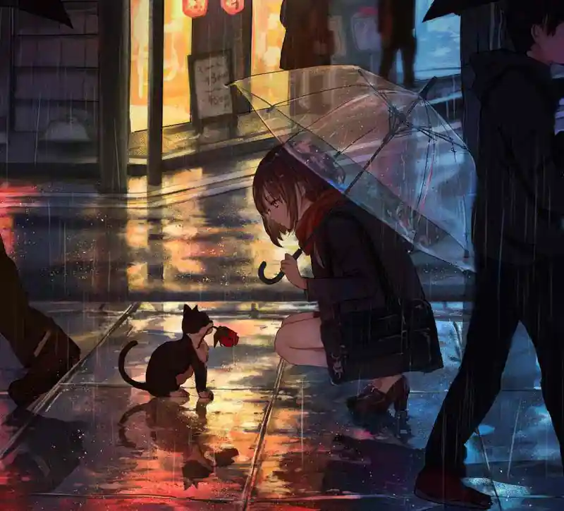 M站美图,壁纸