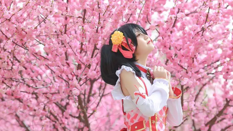 动漫专区,COSPLAY,动漫,矢泽妮可