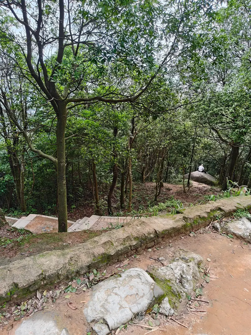 登山,阳台山,羊台叠翠