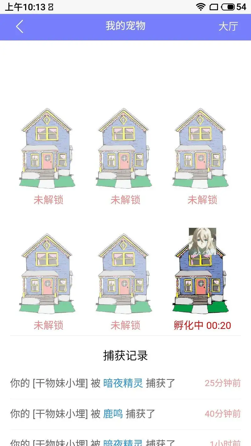 新人报道,新人,宠物