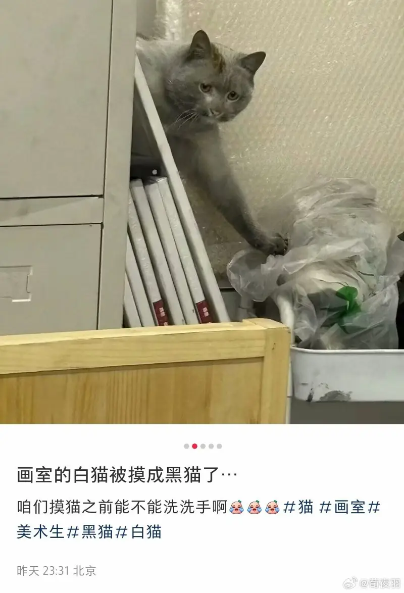 画画