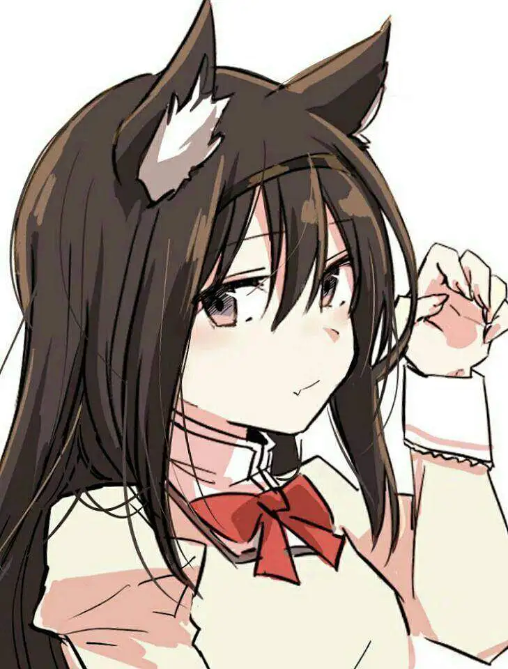 破产可怜人