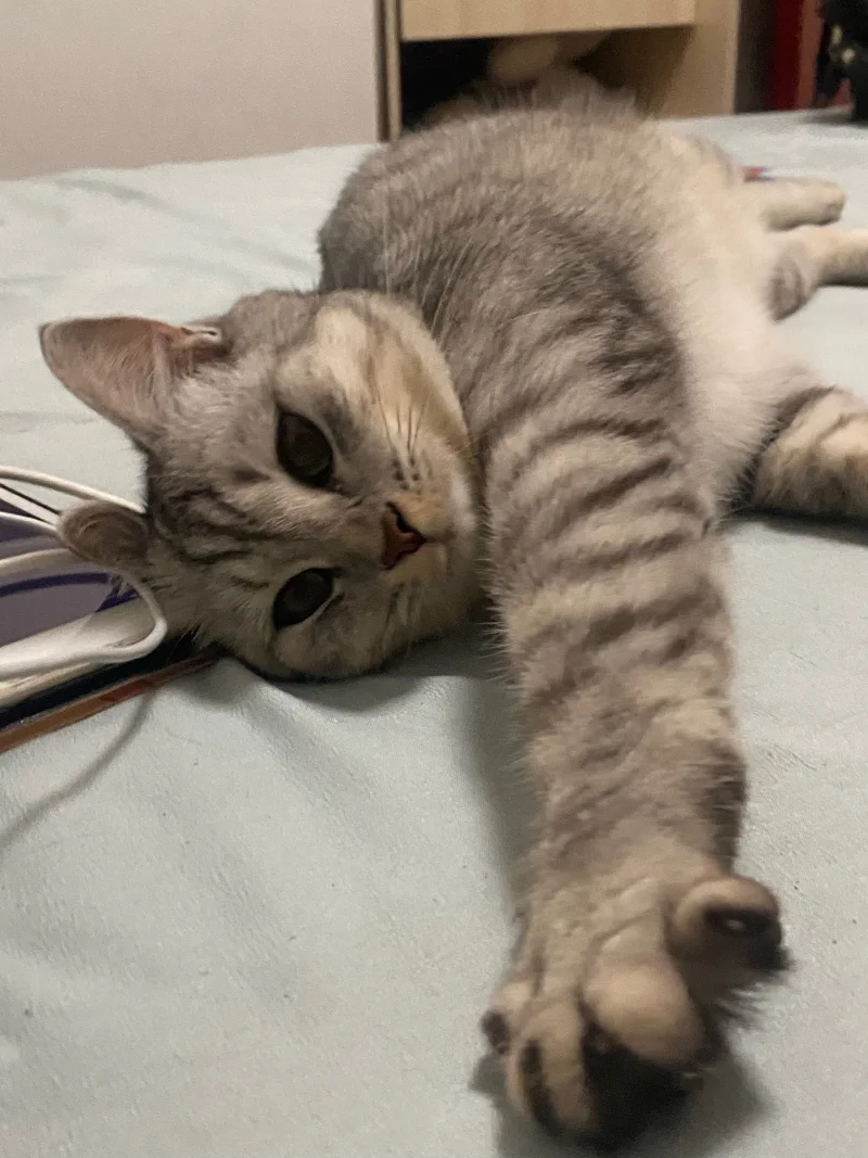 求问！