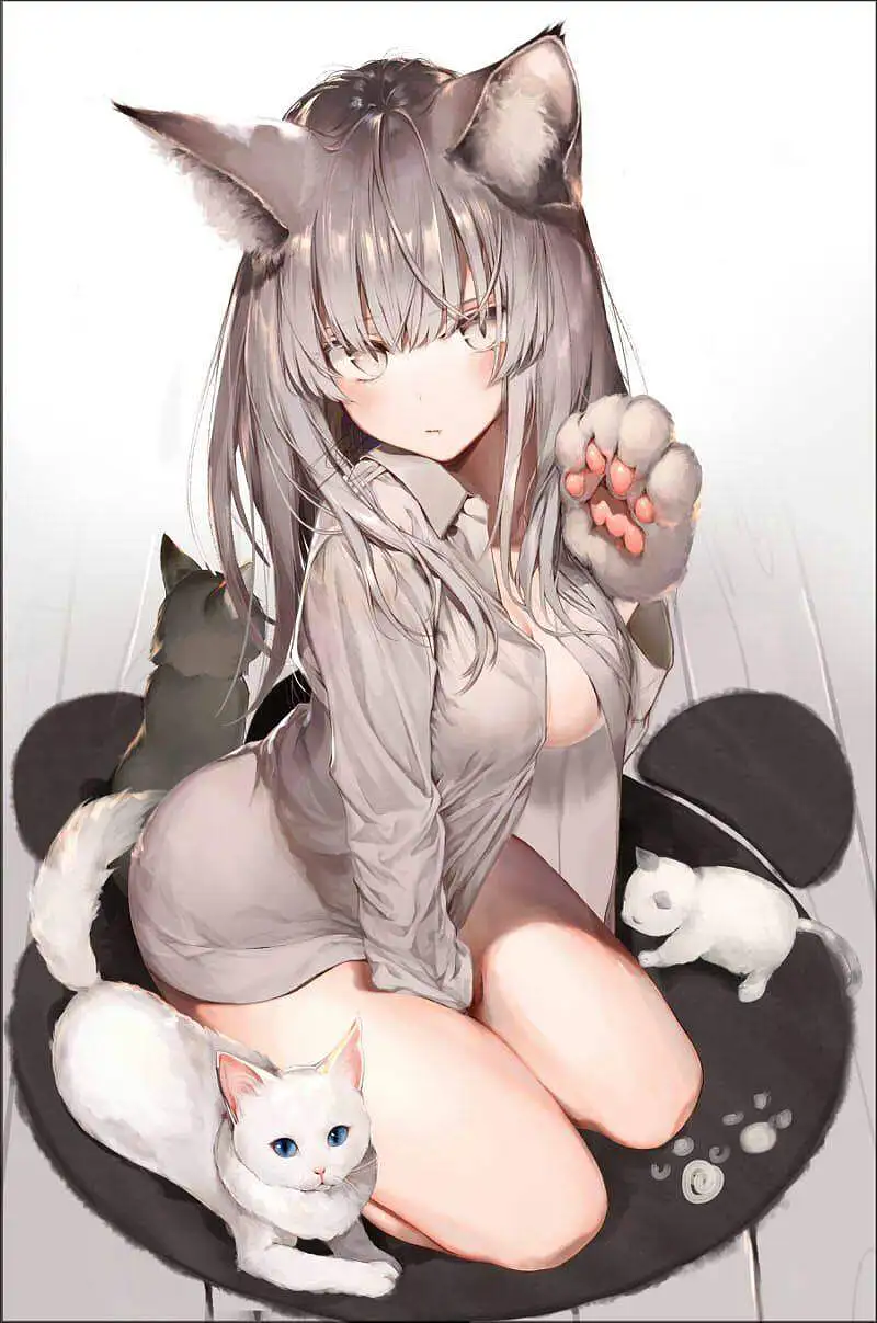 M站美图,壁纸,涩图