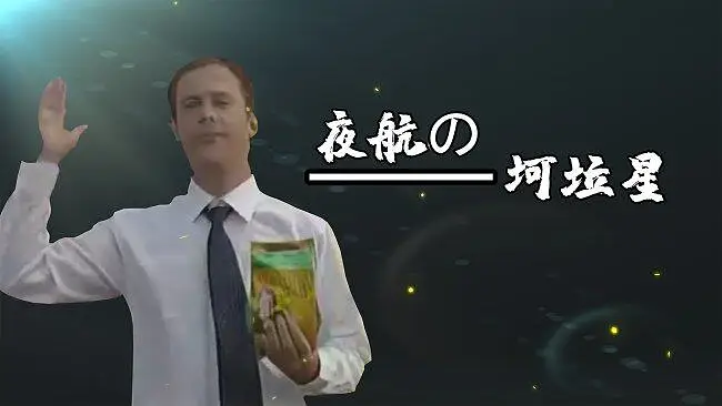 夜航の坷垃星
