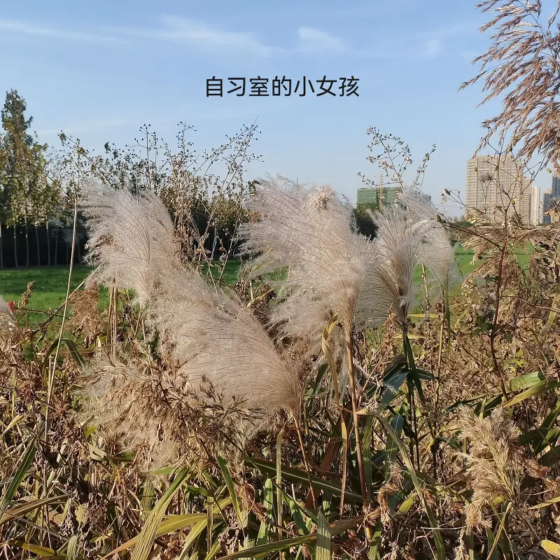 自习室的小女孩