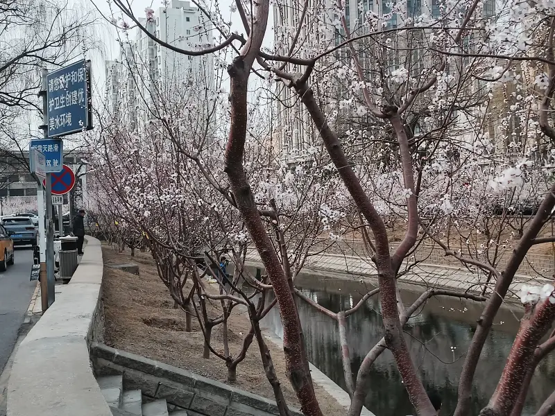 记录