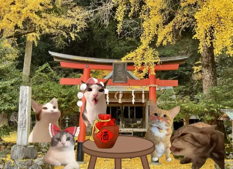 用猫meme的方式打开《东方风神录》的故事