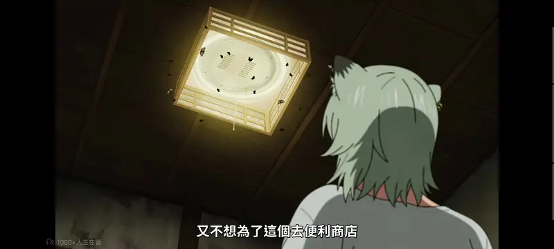 尼古喵喵,雅尼猫,动画,动漫,番剧,日漫,二次元,ACG
