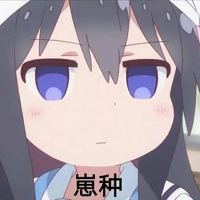新人报道