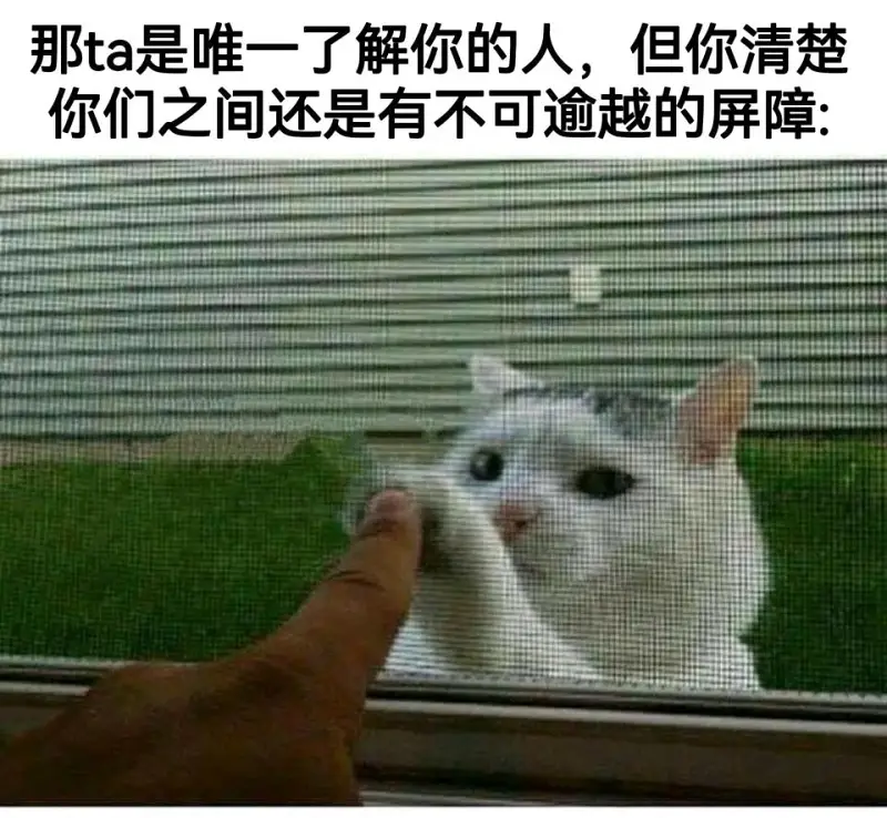 梗图