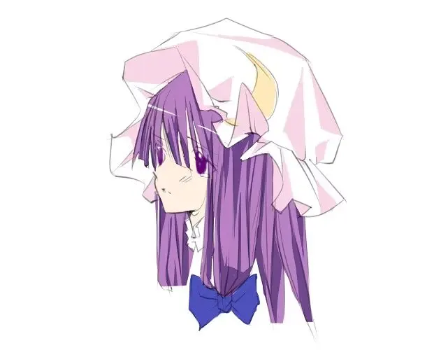 魔法少女小圆,鹿目圆,帕秋莉