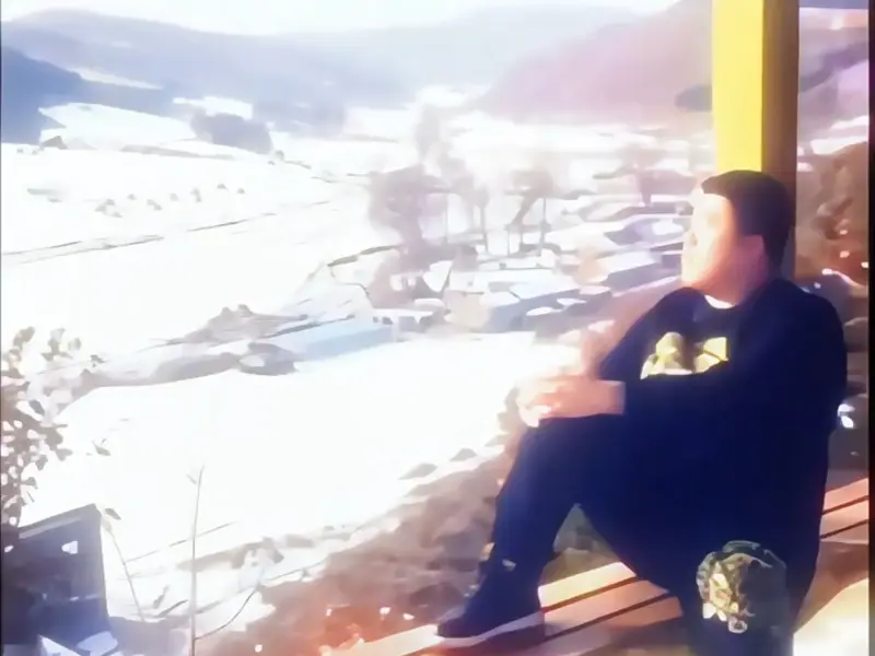 整活，阿米诺斯和哈基米