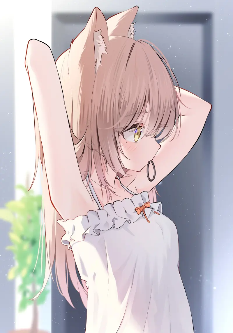 每日喵