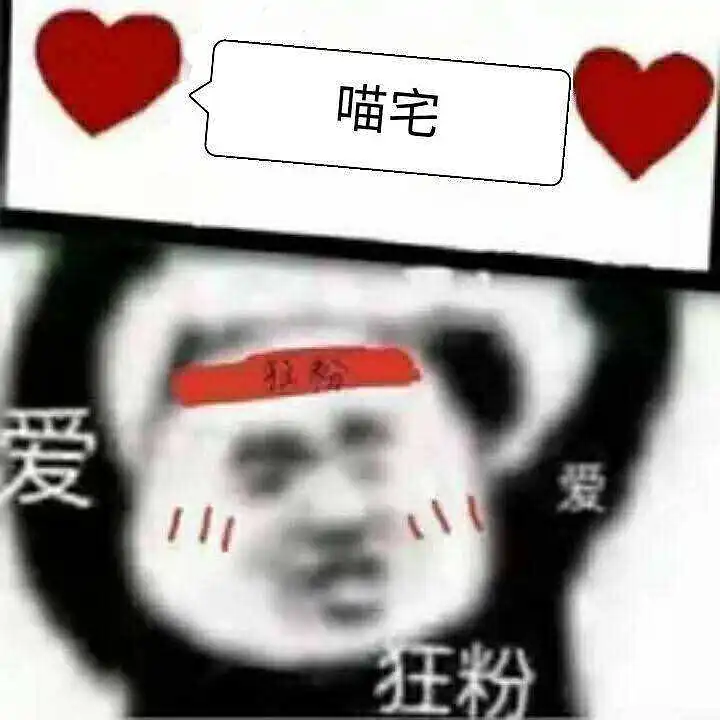 新人报道
