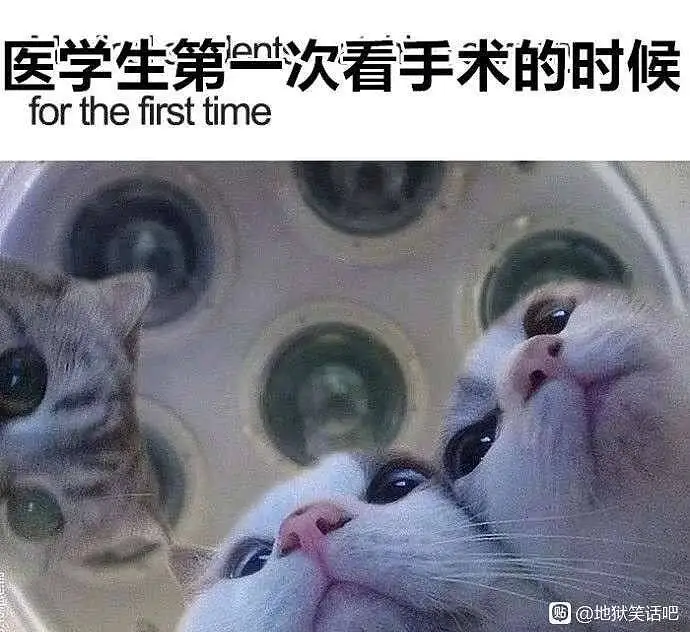 闲聊茶馆