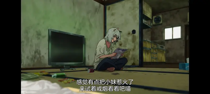 雅尼猫,尼古喵喵,动画,动漫,番剧,二次元,日漫,ACG