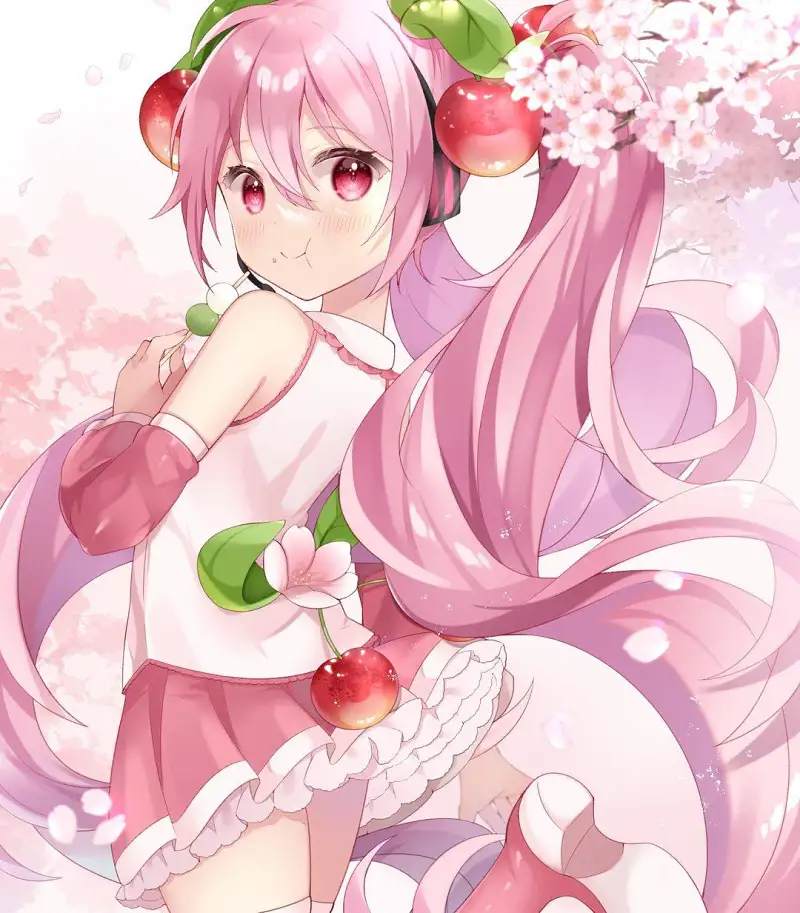 桜ミク 搬运分享