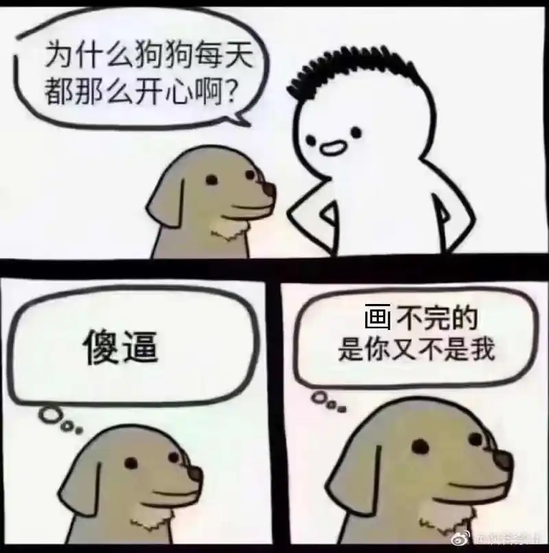 用户交流,考试