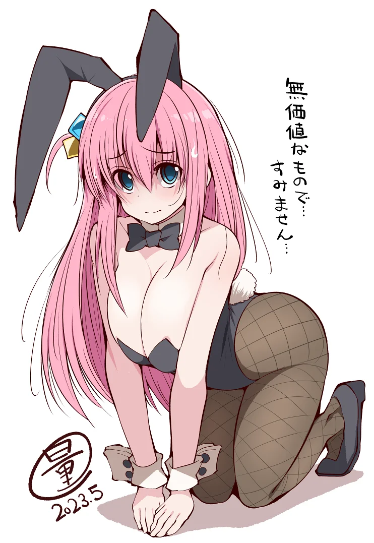 兔女郎,涩图