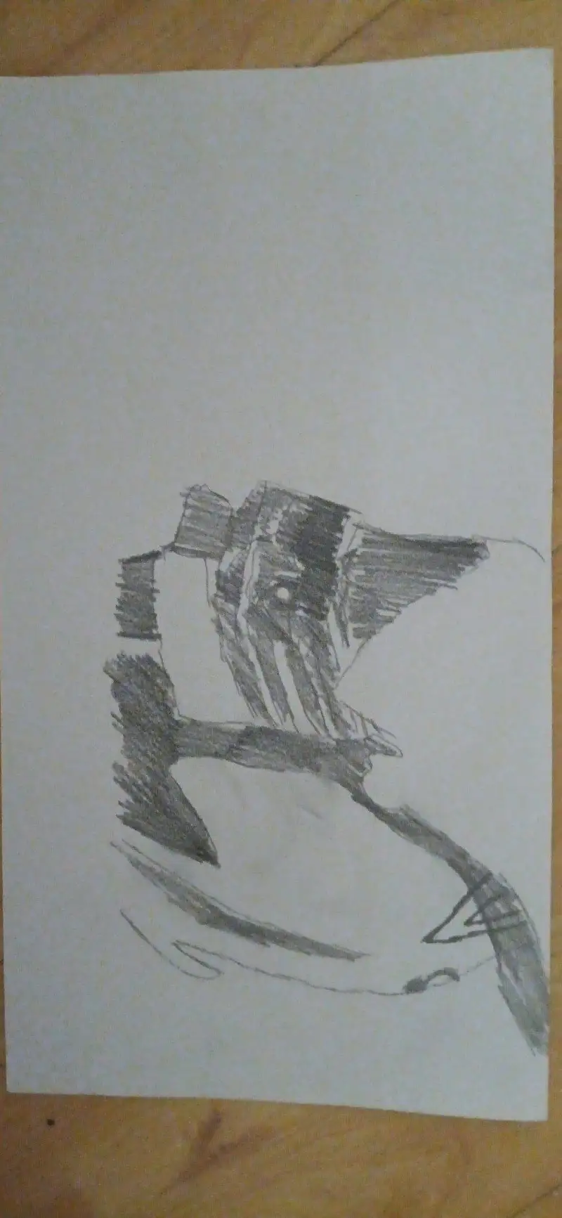 动漫专区,动漫,漫画