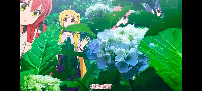 孤独摇滚,动漫,动画,番剧,ACG