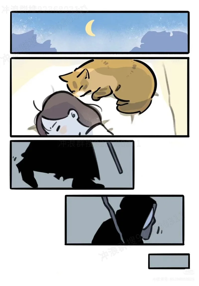 猫,故事