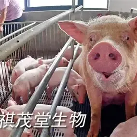 （转载）金涵小区包福宁探店