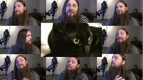 My Cat Knows What You Do In The Dark 阿卡贝拉