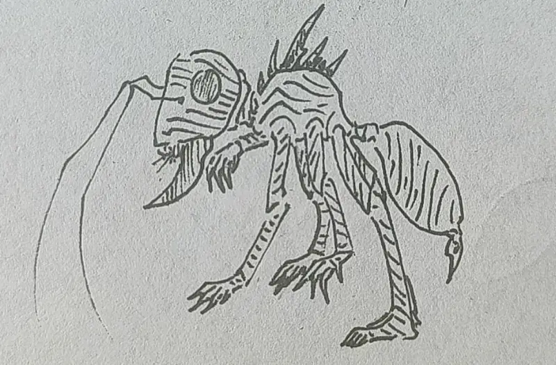 蚁