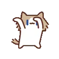 表情包,月薪喵,猫咪表情包,猫meme,哈基米