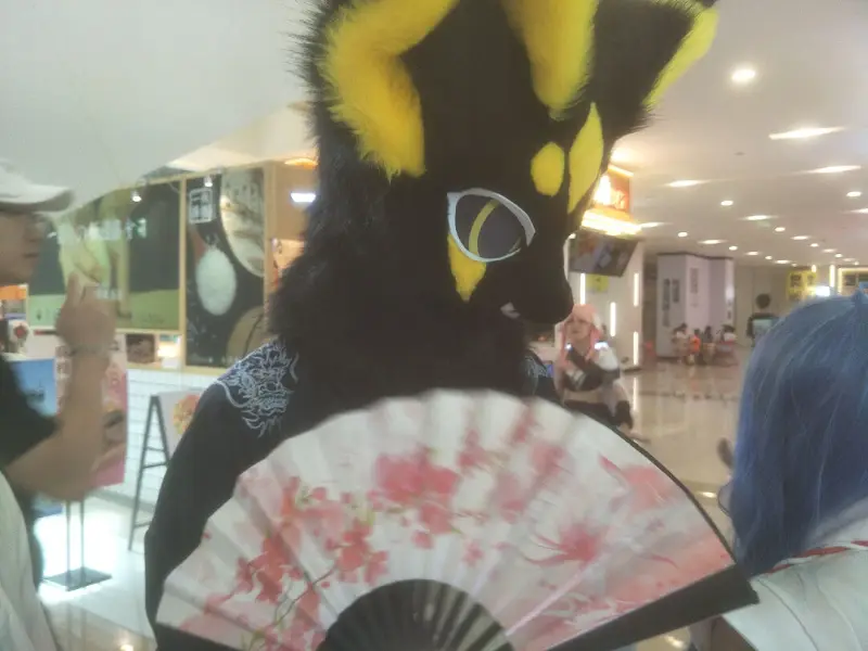 FURRY,福瑞,健康生活