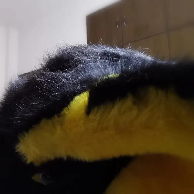 FURRY,福瑞,健康生活
