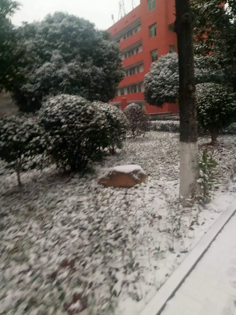 下雪