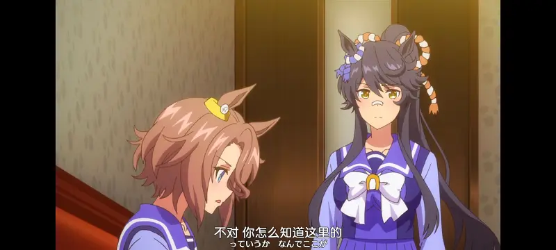 赛马娘,赛马娘PrettyDreby,动画,动漫,番剧,ACG