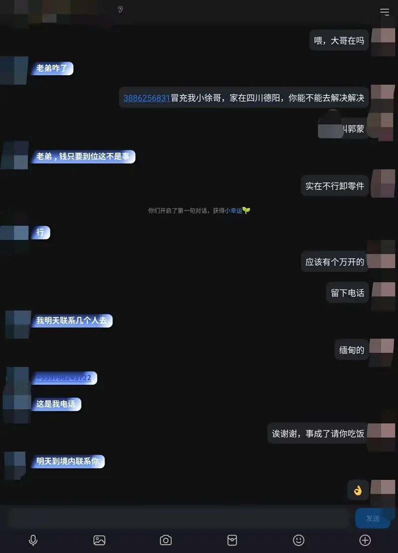 术力口,三战,小天,小汐,赤色格雷,梅狸猫