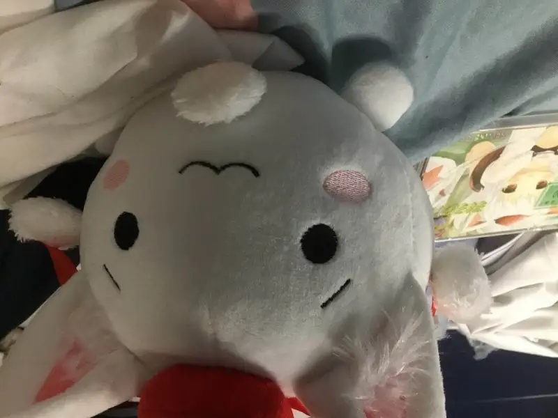 毛绒绒
