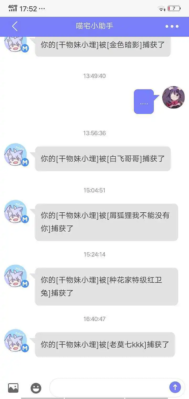 闲聊茶馆,宠物